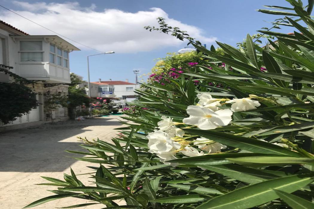 Beyaz Ev Hotel Alacatı Bagian luar foto